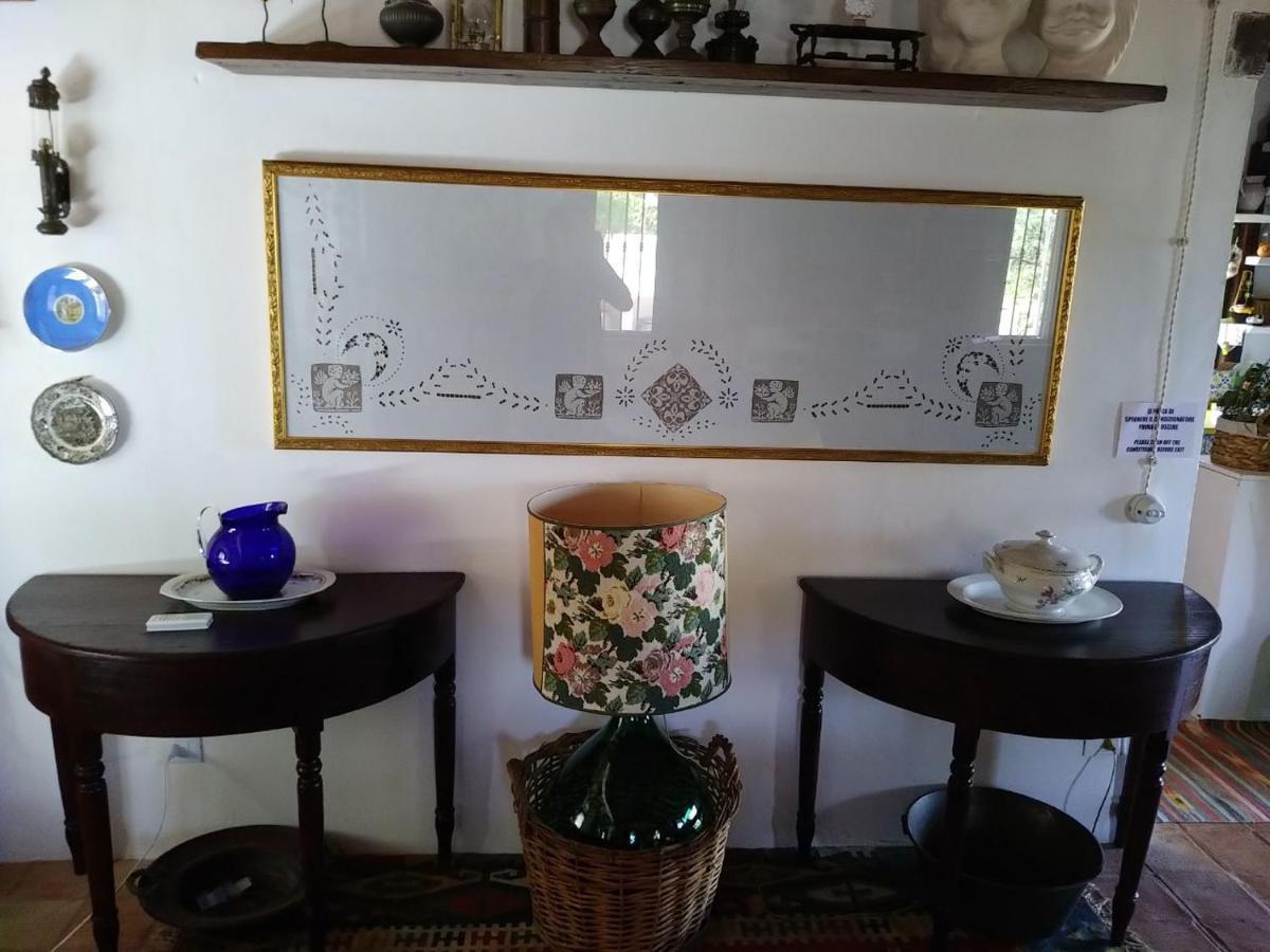 Il Corbezzolo Suite Appartament Кастелуцо Екстериор снимка