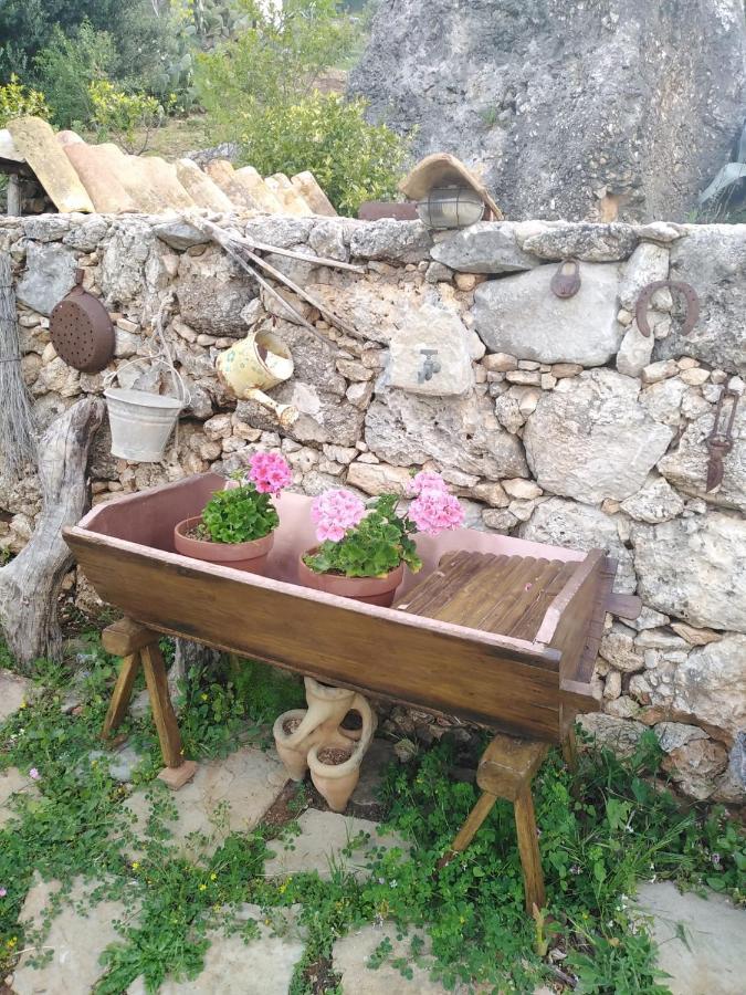 Il Corbezzolo Suite Appartament Кастелуцо Екстериор снимка