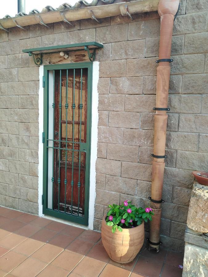 Il Corbezzolo Suite Appartament Кастелуцо Екстериор снимка